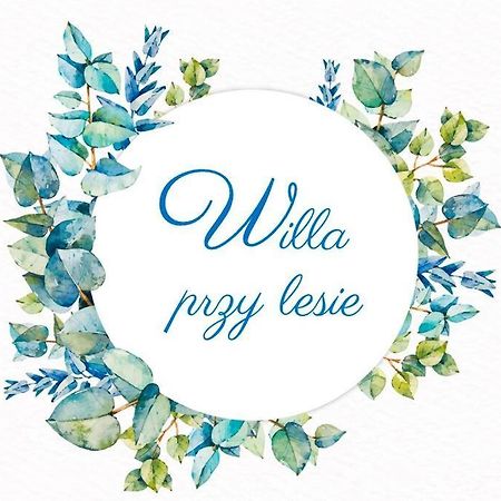 Przytulny Pokoj W Zacisznej Okolicy Z Lazienka Wspolna Dla Dwoch Pokoi 소포트 외부 사진